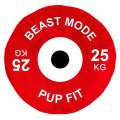 Dog Life Pupfit Weight Plate Large